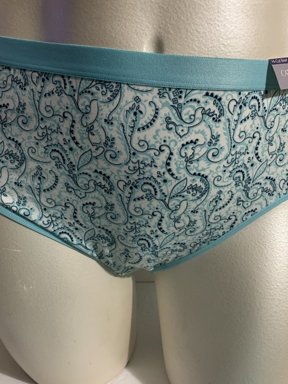 Catherines Hi-Cut Panties Underwear Cotton Blend Paisley Blue White Plus 2X